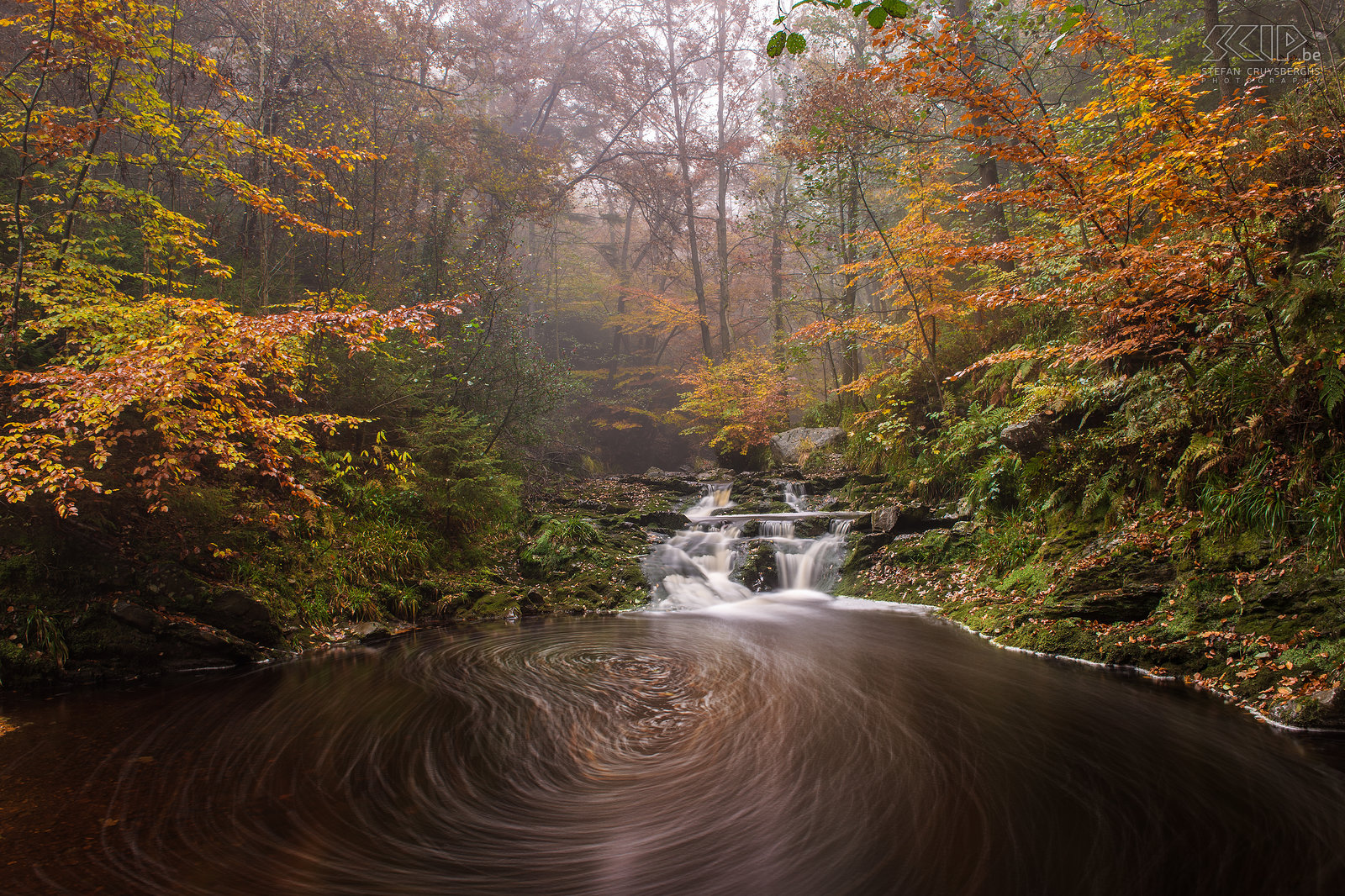 Herfst in de Oostkantons - Höegne Herfstfoto’s van de prachtige regio rondom Malmedy in de Belgische Ardennen. De watervalletjes van de Hoëgne in de buurt van het dorpje Hockai. De Hoëgne is een zijrivier van de Vesder en heeft een lengte van 30 kilometer.<br />
 Stefan Cruysberghs